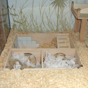 Hamster-Schlafhaus mit mehreren Kammern (Bild S009)
