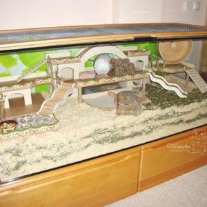 Schlafhütte im Hamstergehege