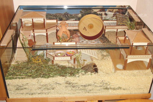 Hamstergehege mit Bayrischer Einrichtung