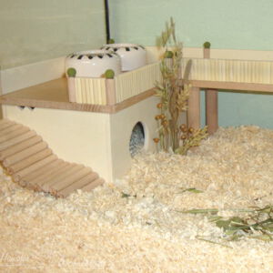 Hamster-Schlafhaus im Gehege (Bild S022)
