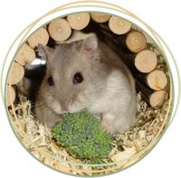 Meine Arbeitsphilosophie