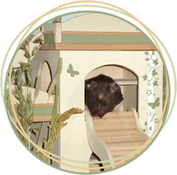 Klettertürme und -Festungen